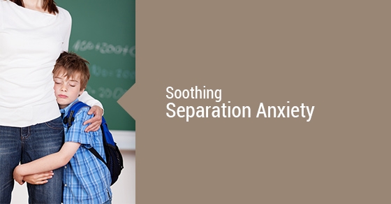 how to crate a with separation anxiety how to sooth separation anxiety personnel how to crate a with separation anxiety how to sooth separation anxiety personnel